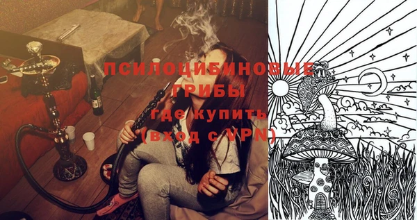 ешки Михайлов